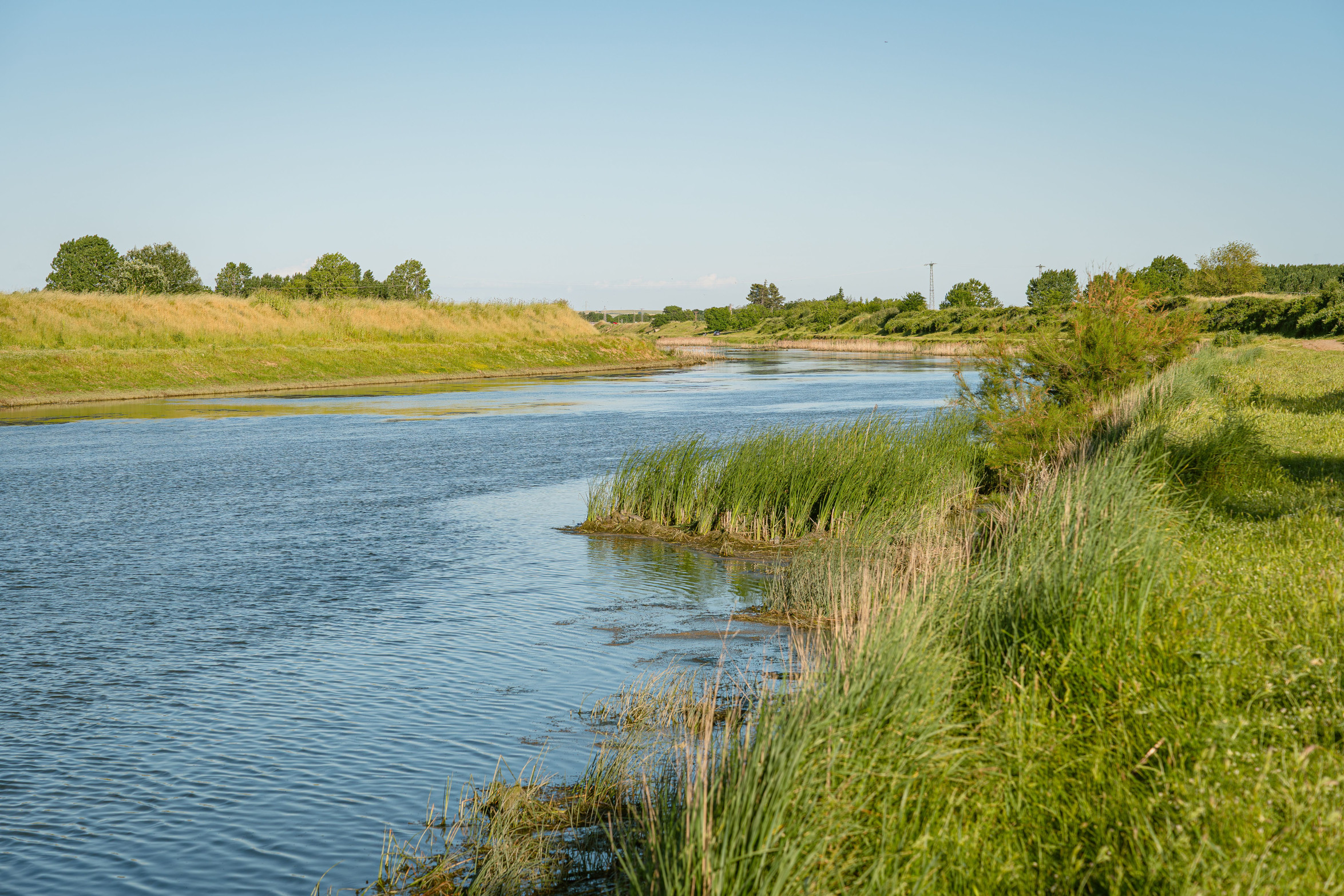 Living Rivers Week 2026