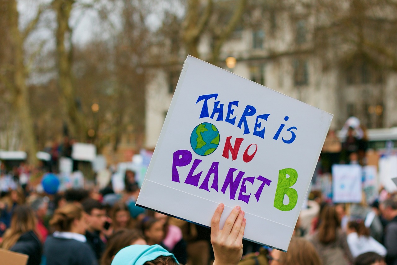 Plakat: There is no planet B