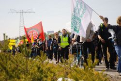 190330 waldspaziergang 4928