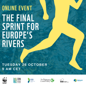 The final sprint for rivers Instagram LinkedIn